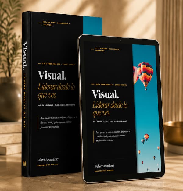Guía Visual VAK