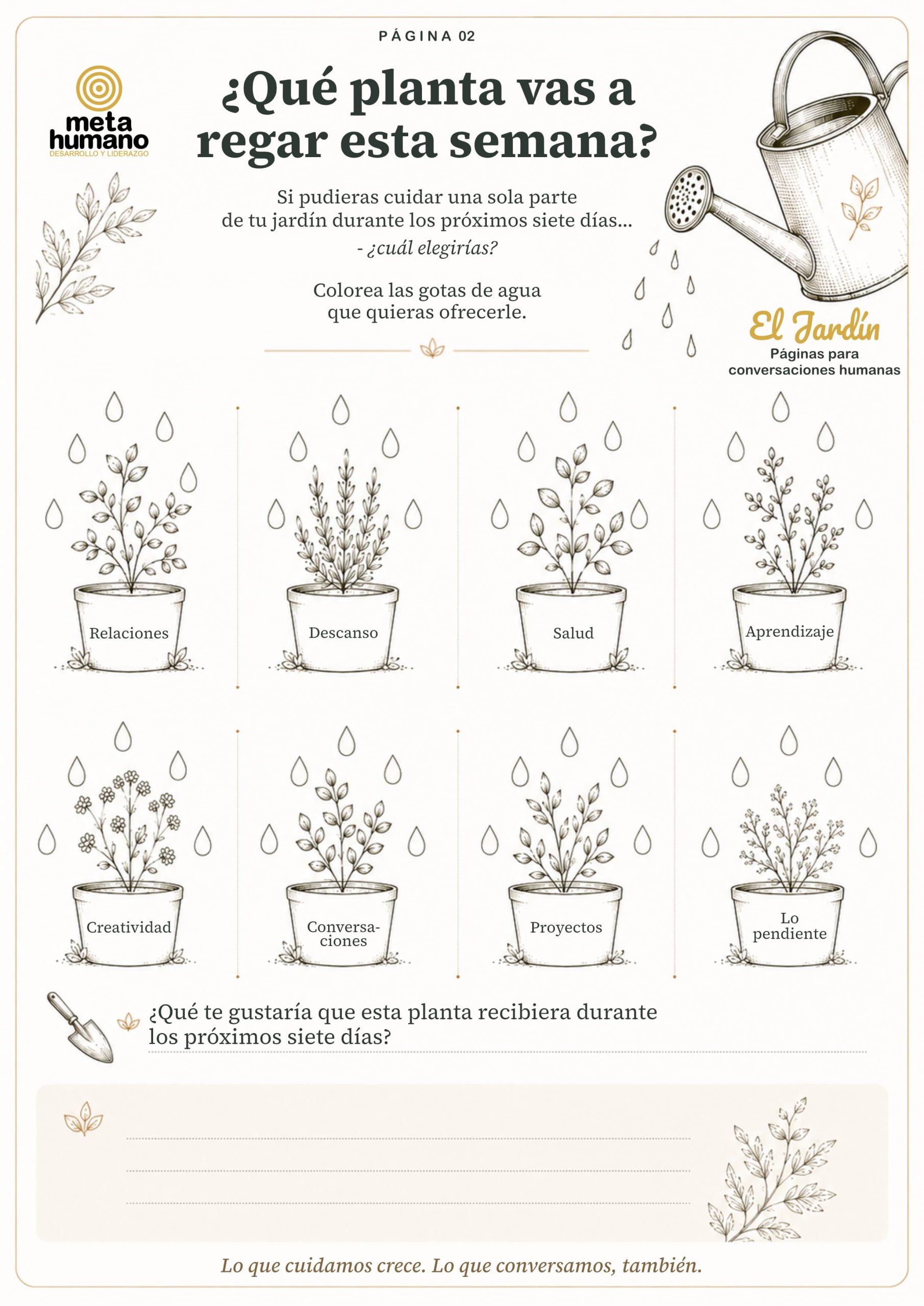 Vista previa de la página imprimible ¿Qué planta vas a regar esta semana? — ocho macetas para elegir una sola área de vida a cuidar durante siete días