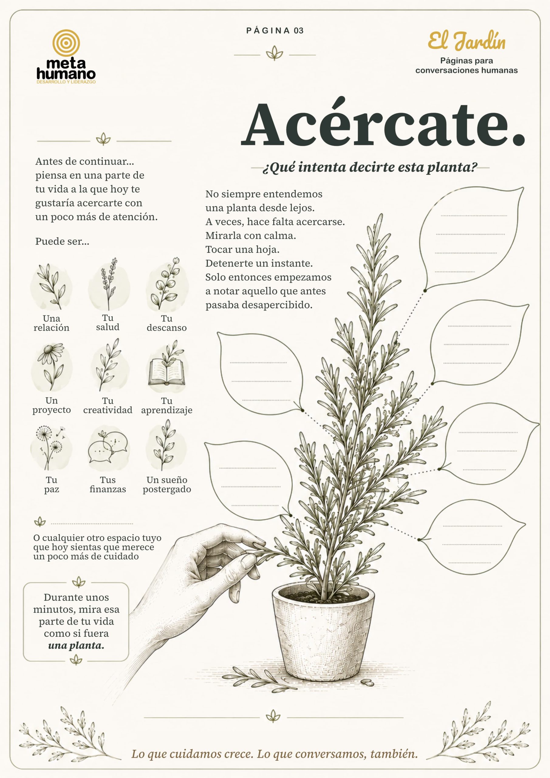 Vista previa de la página imprimible Acércate — ilustración de una mano tocando una planta de romero, con hojas en blanco para escribir qué área de tu vida quieres cuidar de cerca